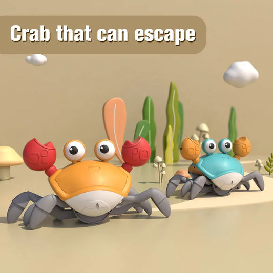 Dancing Crab